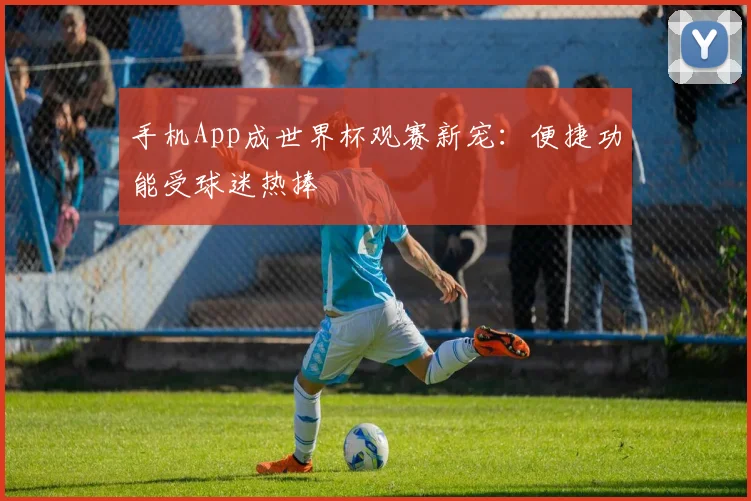 手机App成世界杯观赛新宠:便捷功能受球迷热捧