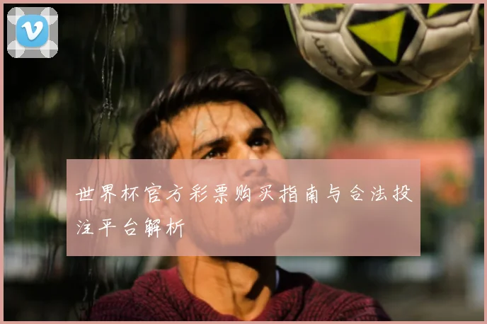 世界杯官方彩票购买指南与合法投注平台解析