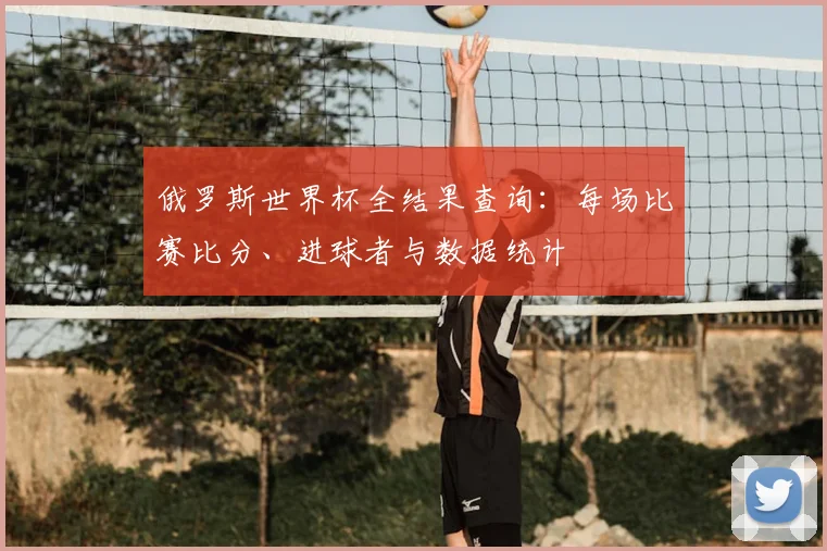 俄罗斯世界杯全结果查询:每场比赛比分、进球者与数据统计