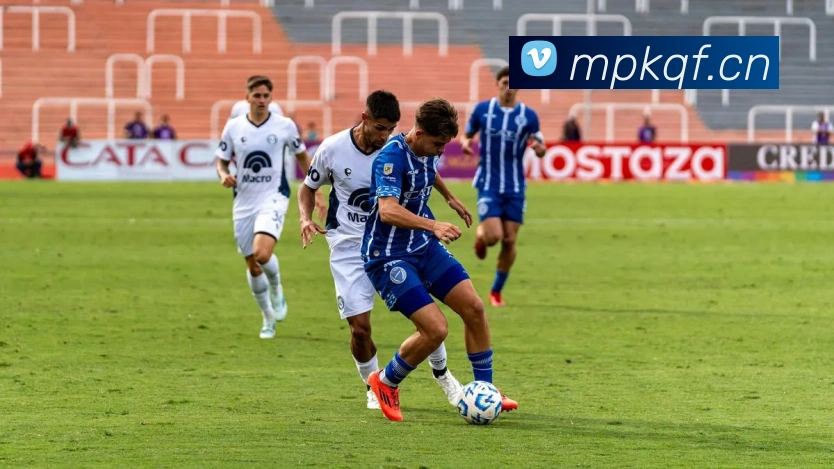 多媒体互动体验