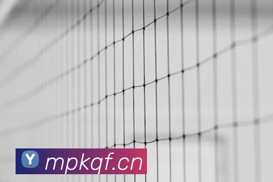 mksports官网登录APP 体育赛事宣传图